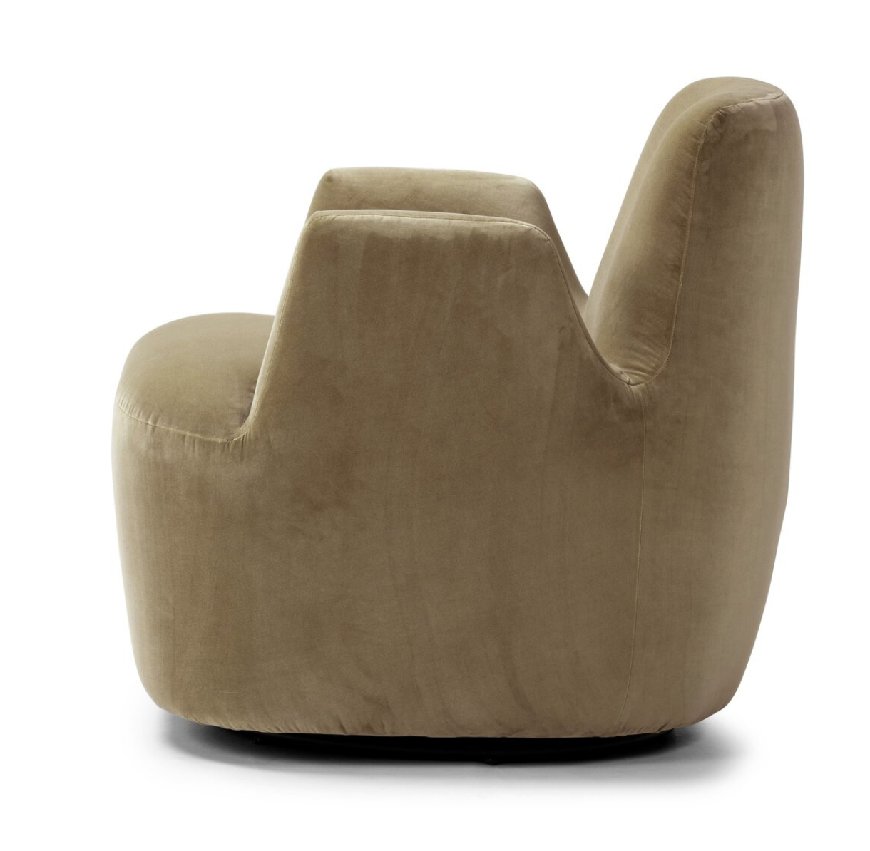 Reed Khaki