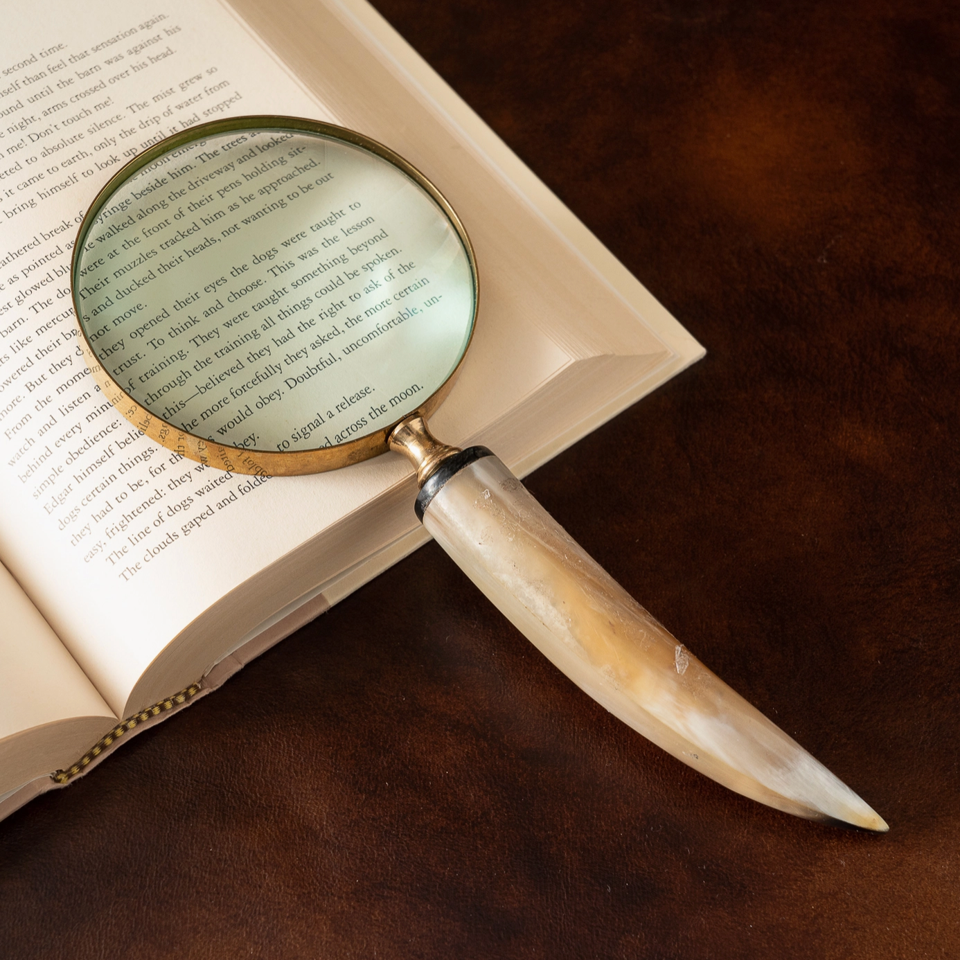 Horn Magnifier