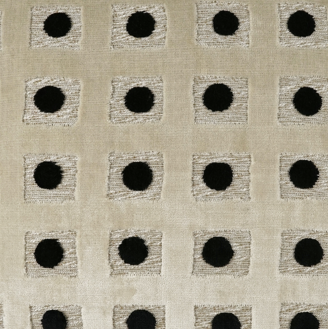 Domino