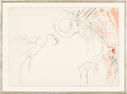 Flamingo Study C.1910