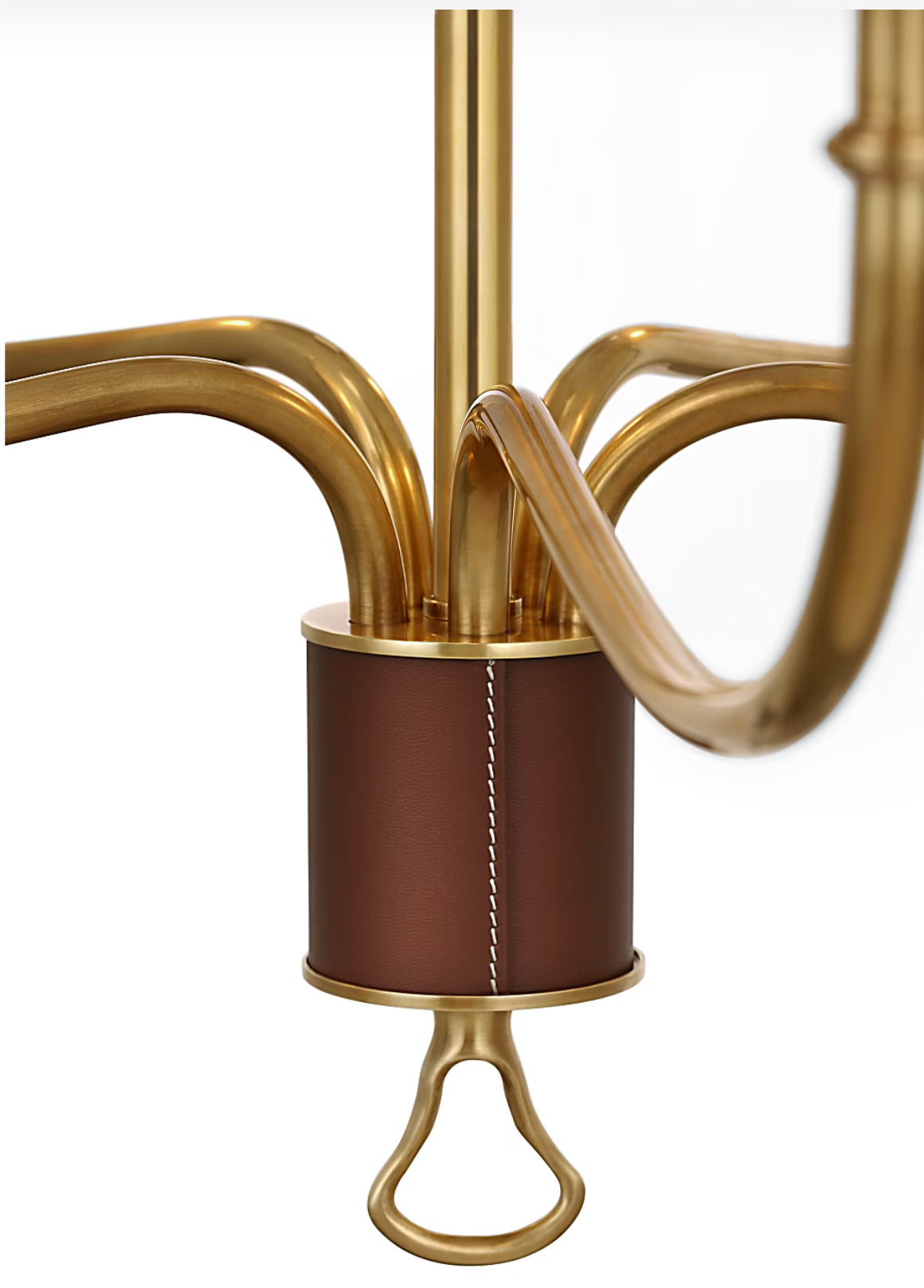 Griffin 31"