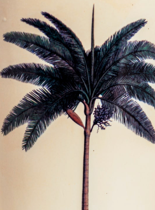 Palm Umbrella Stand