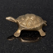 Turtle Bottle Opener