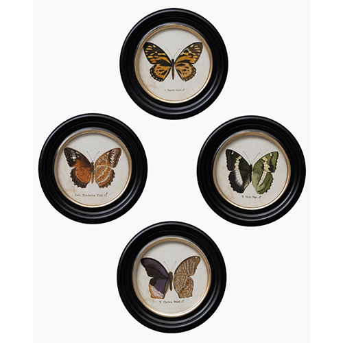Butterfly Frames