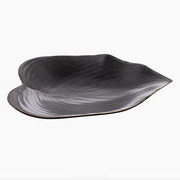 Begonia Tray