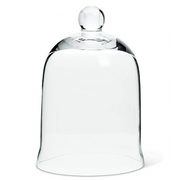 Glass Cloche