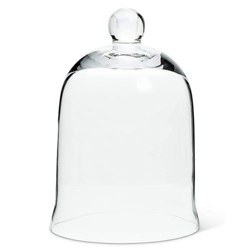 Glass Cloche