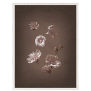 Floral In Chalk II