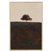 Chestnut Country I