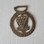 Brass Medallion St Ives