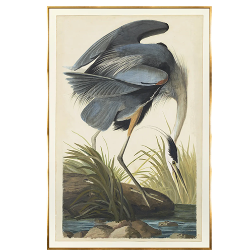 Blue Heron