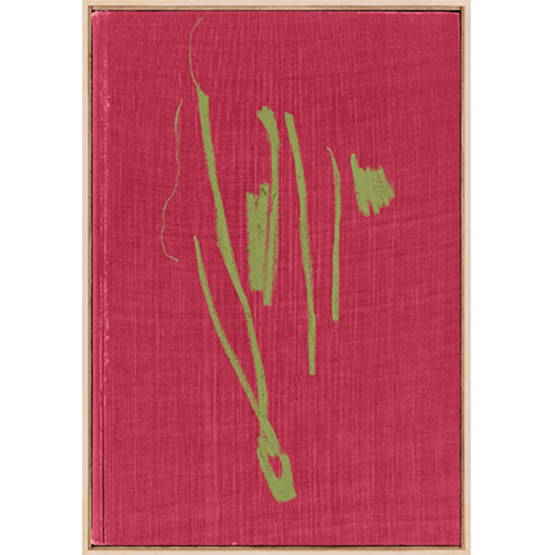 Book Cover Fuchsia