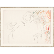 Étude de flamant rose v.1910