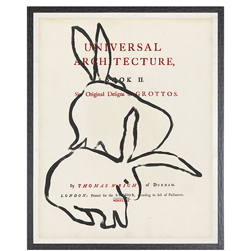 Frontispiece Rabbits