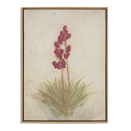Yucca