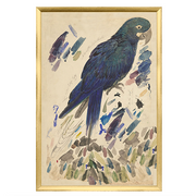 Lear Blue Parrot