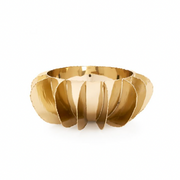 Dorsal Bowl