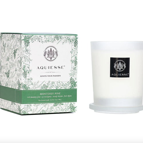 Aquiesse Monterey Pine