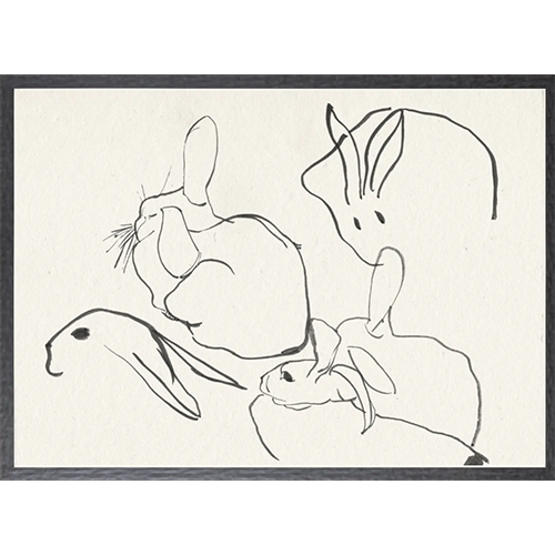 Rabbit Study