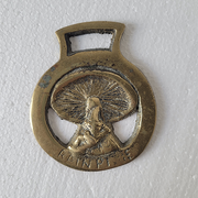 Brass Medallion Mushroom