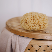 Natural Sea Sponge