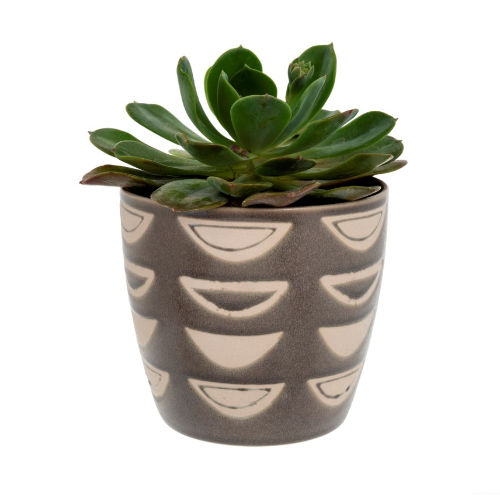 Luna Pot