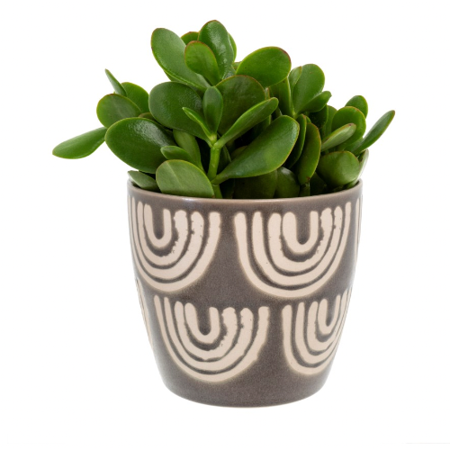 Arches Pot
