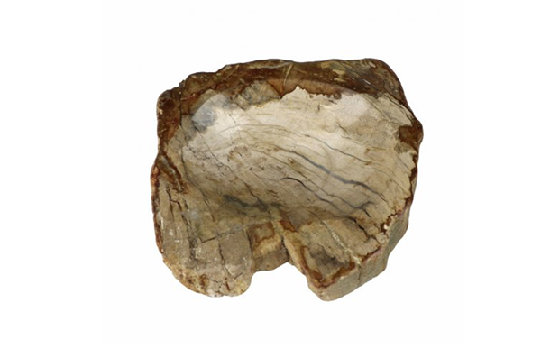 Petrified Wood Bowl
