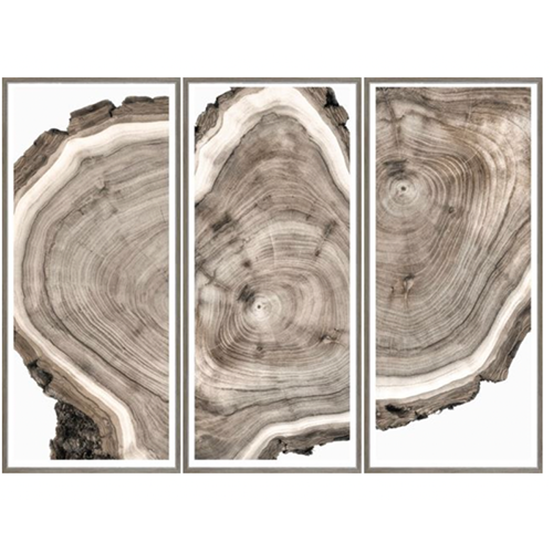 Live Edge Triptych